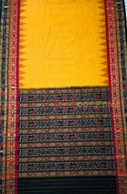 SACHIPHAR COTTON SAREE